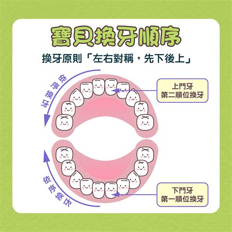 大牙會換牙嗎|換牙順序介紹：了解小孩各階段的換牙時間與注。